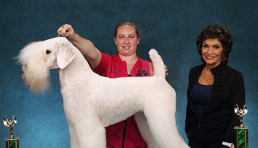 Pet Grooming Upper Arlington & Westerville | Designer Paws Salon 2 image 1