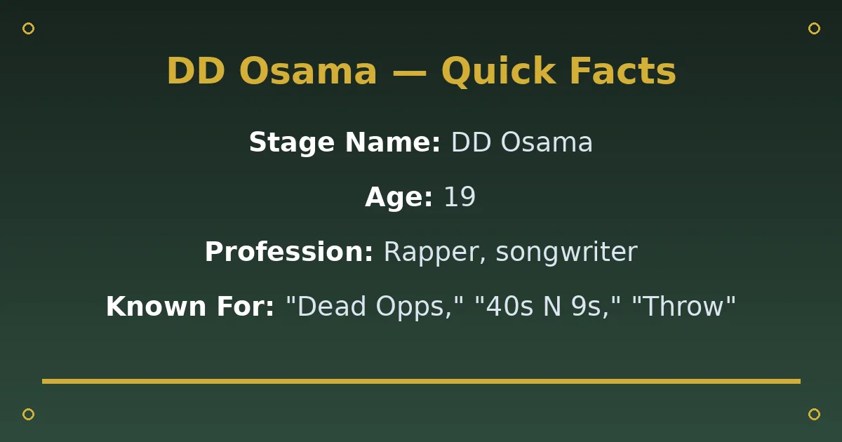 DD Osama Biography: Age, Real Name, Career & Story 2 DD Osama Biography: Age, Real Name, Career & Story quick facts